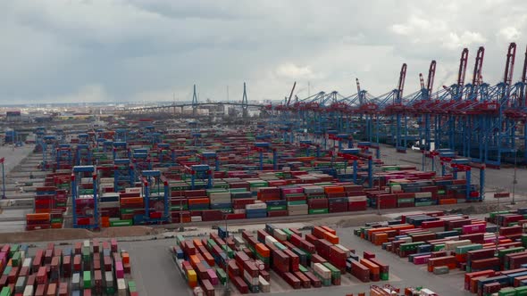 Aerial View of Many Automated Cranes Sorting and Placing Cargo Containers in Large Shipping Port in