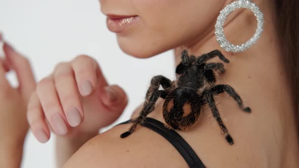 Big Black Spider on a Woman's Chest