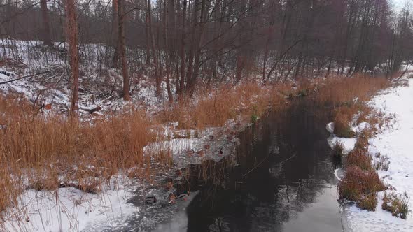 Ducks In Frozen Pond