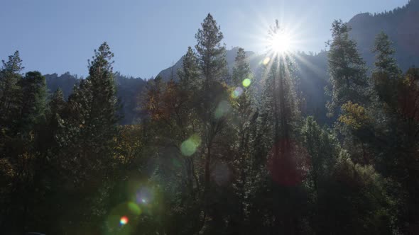 Day in Yosemite Park