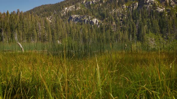 Sotcher Lake in the Ansel Adams Wilderness in California USA