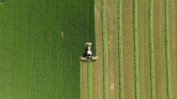 Farmer On Tractor Mowing Fresh Green Grass For Hay Or Feed Aerial Top View