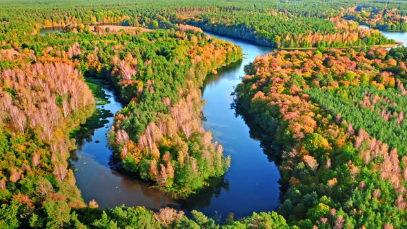 Curvy river in autumn at sunset, aerial view of Poland