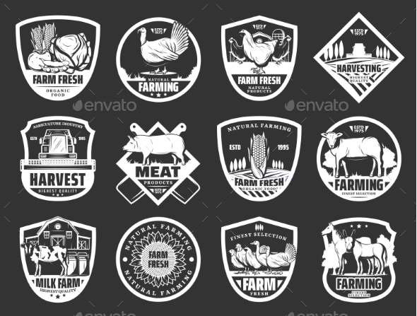 Farm Dairy and Cattle Meat or Fowl Products Icons