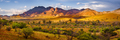 Flinders Glory - PhotoDune Item for Sale