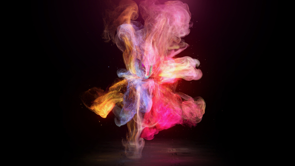 Blooming Butterfly Logo Reveal alt