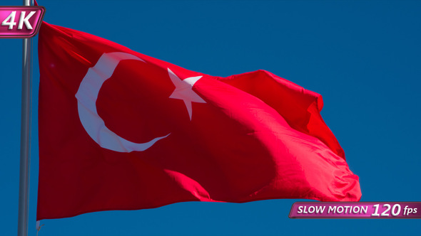 State Flag Of Turkey alt