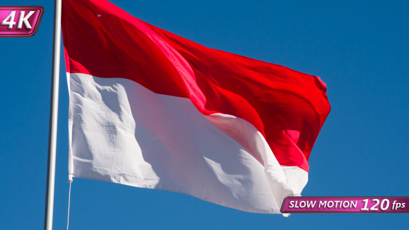 Flag Of Indonesia Fluttering In The Wind