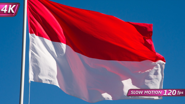 State Flag Of Indonesia alt