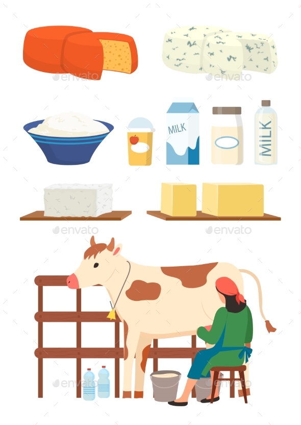 Dairy Products Milk and Cottage Cheese Vector