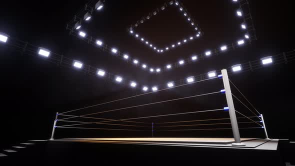 Sports Wrestling And Boxing. Sport 4K Professional Background Animation