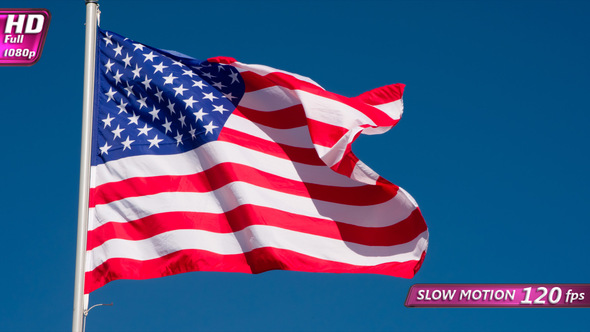 State Flag Of The USA alt