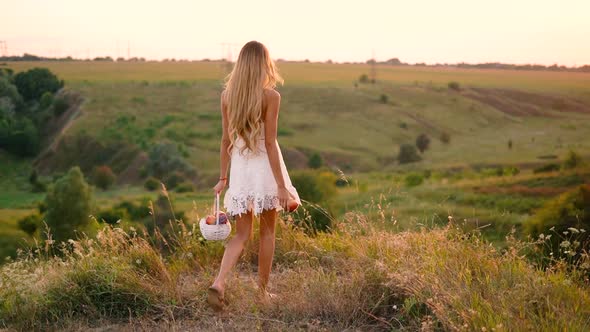 Beautiful sexy blonde girl in white dress posing in a field at sunset with a basket of fruit