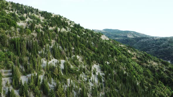 Aerial view of green hills.