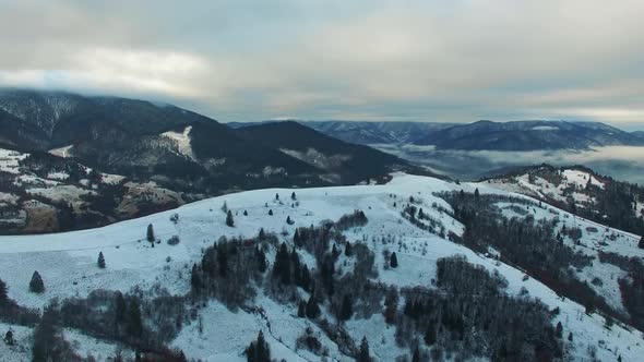 Aerial Top Down View of Flying Above Asphalt Road in Winter Forest