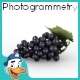 Blue Grapes - 3DOcean Item for Sale