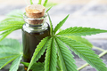 Cannabis Oil - PhotoDune Item for Sale