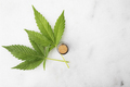 Cannabis Leaf Flat Lay - PhotoDune Item for Sale