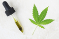 Dropper of CBD Oil - PhotoDune Item for Sale