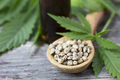 Cannabis Seeds in Spoon - PhotoDune Item for Sale