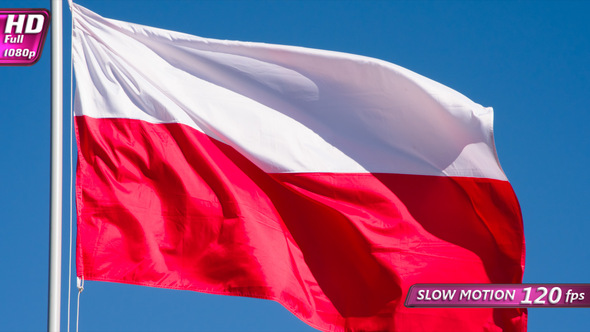 State Flag Of Poland