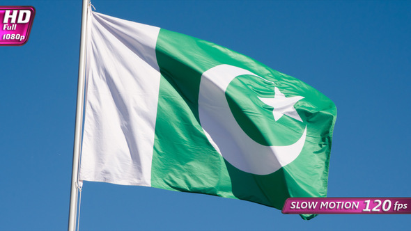 State Flag Of Pakistan