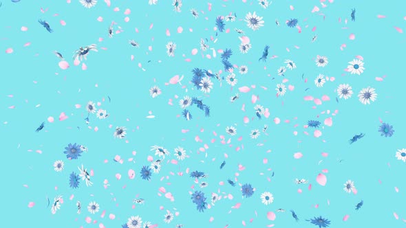 Flower Burst Pastel Background 4K