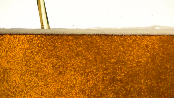 Background of Pouring Lager Beer in Glass Over White