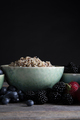 Bowl of Healthy Quinoa - PhotoDune Item for Sale