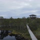 Drone aerial view to Estonian bog - VideoHive Item for Sale