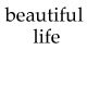 Beautiful Life