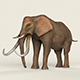 Low poly Realistic Elephant - 3DOcean Item for Sale
