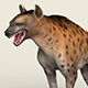 Low poly Realistic Hyena - 3DOcean Item for Sale