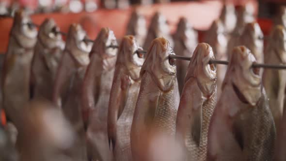 Processing Dried Fish at a Fish Factory. Fish Drying. Fish Seafood Factory