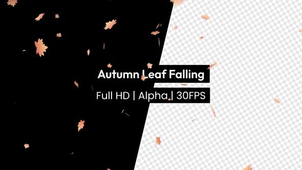 Autumn Leaf Leaves Falling with Alpha