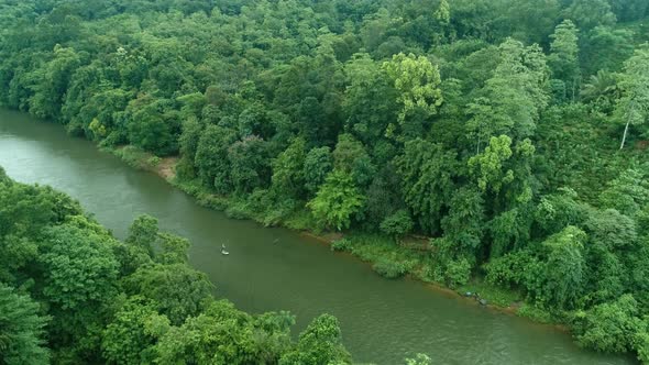 Arcing around a Paddle Board On Jungle River