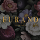 Furano Font - GraphicRiver Item for Sale