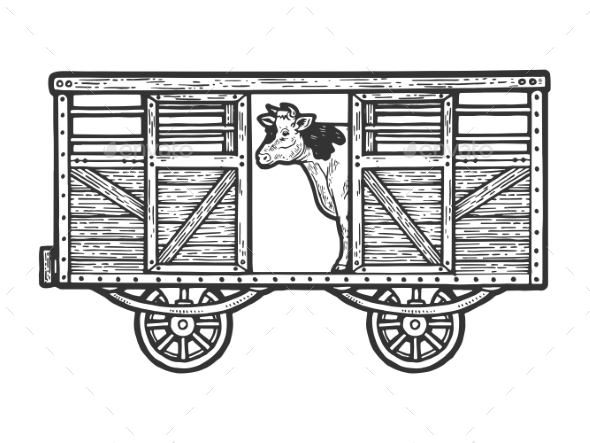 Cow in Railway Carriage Sketch Engraving Vector