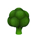Broccoli - 3DOcean Item for Sale
