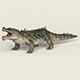 Low poly Realistic Crocodile - 3DOcean Item for Sale