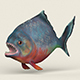 Low poly Realistic Piranha - 3DOcean Item for Sale