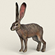 Low poly Realistic Rabbit - 3DOcean Item for Sale