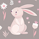 Rabbits Sleeping, Running, Sitting. - GraphicRiver Item for Sale