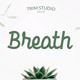 Breath - Beauty in Bold Script - GraphicRiver Item for Sale