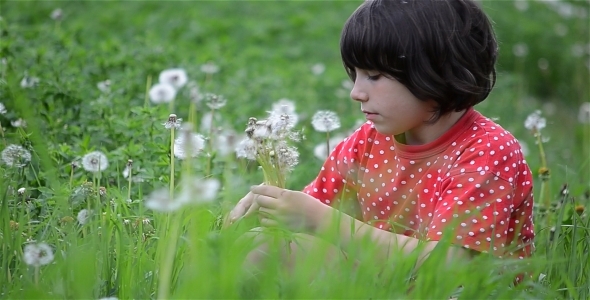 Girl And Dandelions 2