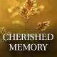 Cherished memory - AudioJungle Item for Sale
