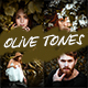 Artistic Collection - Olive Tones Lightroom Preset (Mobile & Desktop) - GraphicRiver Item for Sale