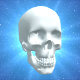 Skull 3D Background Loops - VideoHive Item for Sale