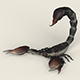 Low poly Realistic Scorpion - 3DOcean Item for Sale