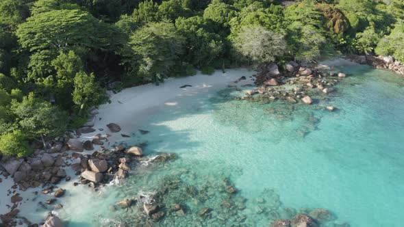 Aerial view of a person walking on the beach of Anse Lazio, Seychelles.